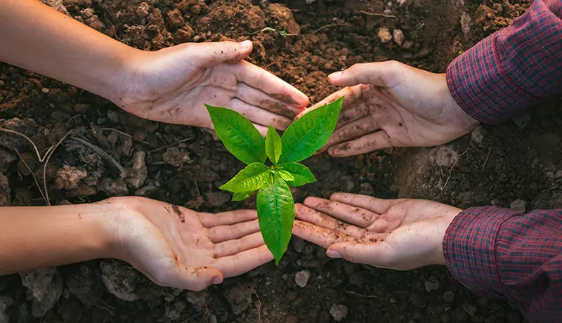 Nachhaltigkeit & Umweltmanagement - Green Cleaning bei GDK. Gebäudedienste Kleinstück